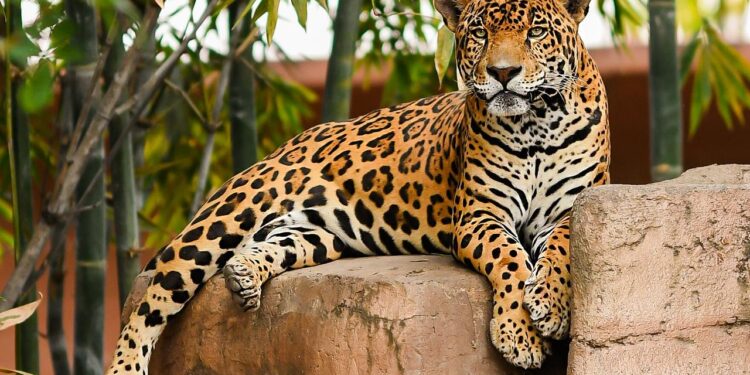 Zoológico Tamatán recibe a visitantes con espacios renovados durante el período vacacional