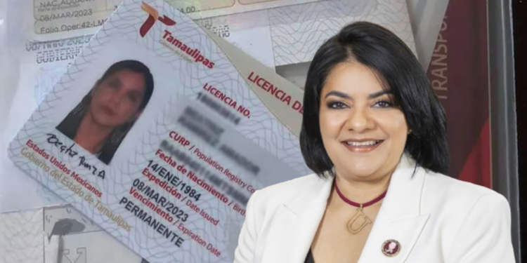 Proponen seguro obligatorio para renovar licencia en Tamaulipas