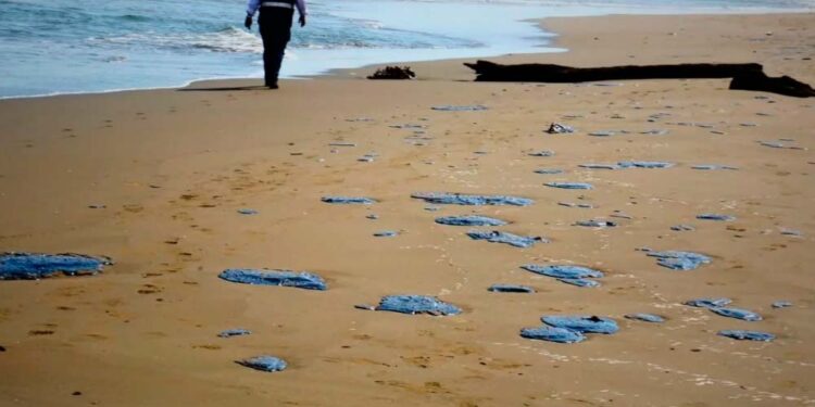 Pemex reconoce derrame en el Golfo y cesa a tres mandos por irregularidades