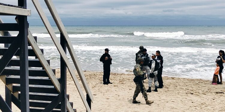 Refuerza Marina operativo en costas de Tamaulipas por arribo de tortuga lora