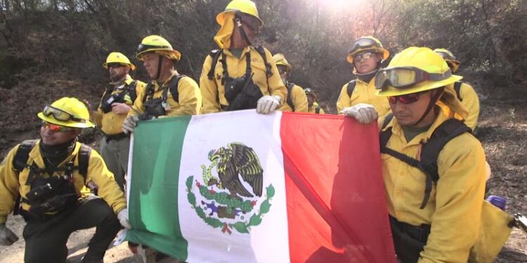 Bomberos mexicanos quedan en el limbo tras cambios migratorios en EEUU