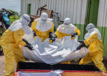 Tamaulipas mantiene vigilancia y protocolos activos ante riesgo internacional por Ébola