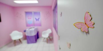 Impulsan “Código Mariposa” obligatorio en hospitales de Tamaulipas para madres que pierden a sus bebés