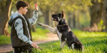 Invita Parque Recreativo Tamatán a curso de entrenamiento canino enfocado en búsqueda y rescate