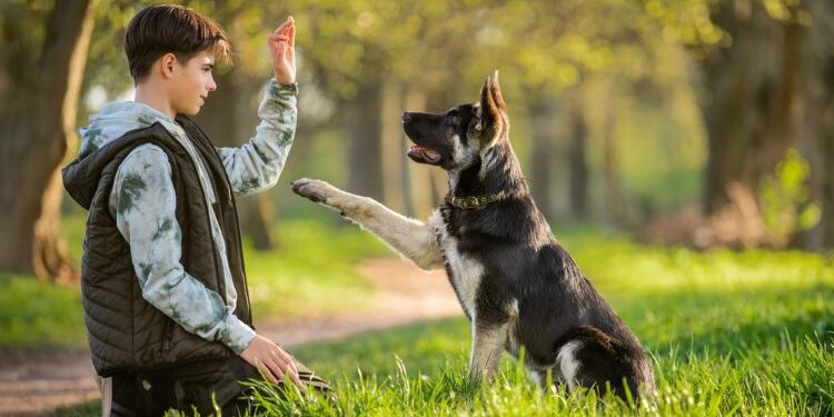 Invita Parque Recreativo Tamatán a curso de entrenamiento canino enfocado en búsqueda y rescate
