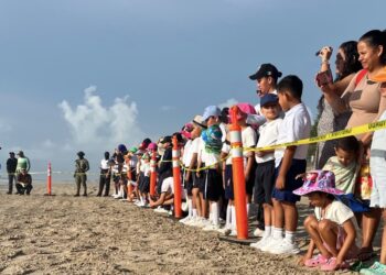 Fortalece Gobierno de Tamaulipas educación ambiental con liberación de tortuga lora para estudiantes del Sector Naval de La Pesca