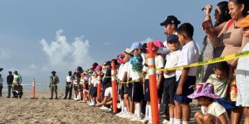 Fortalece Gobierno de Tamaulipas educación ambiental con liberación de tortuga lora para estudiantes del Sector Naval de La Pesca