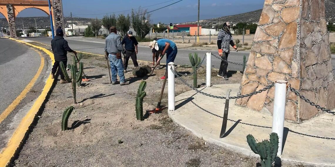 Tula fortalece su imagen urbana con reforestación y mejora del alumbrado público