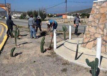 Tula fortalece su imagen urbana con reforestación y mejora del alumbrado público