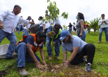 Invita Américo Villarreal a jornada de reforestación en Jaumave; proyectan plantar más de 15 mil árboles en Tamaulipas