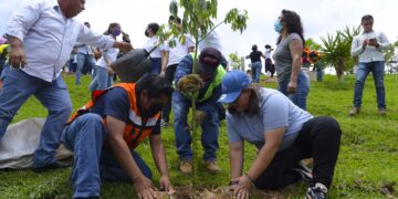 Invita Américo Villarreal a jornada de reforestación en Jaumave; proyectan plantar más de 15 mil árboles en Tamaulipas